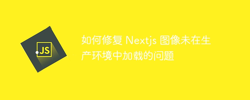 如何修复 nextjs 图像未在生产环境中加载的问题