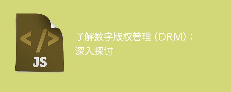 了解数字版权管理 (drm)：深入探讨