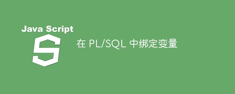 在 pl/sql 中绑定变量