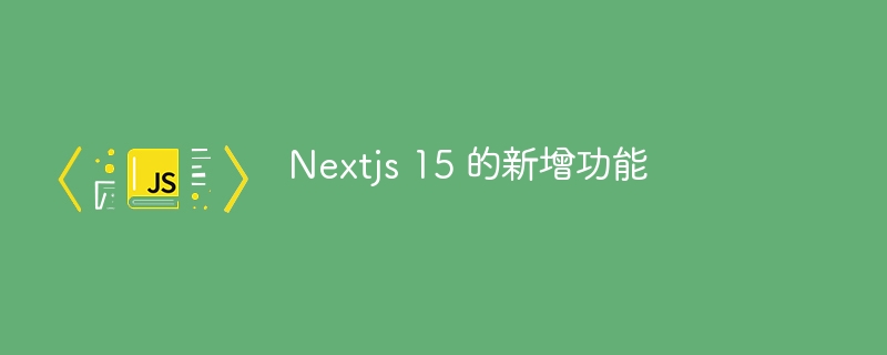 Nextjs 15 的新增功能