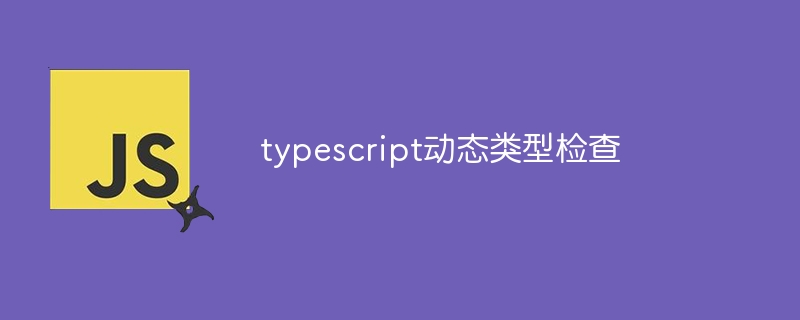 typescript动态类型检查