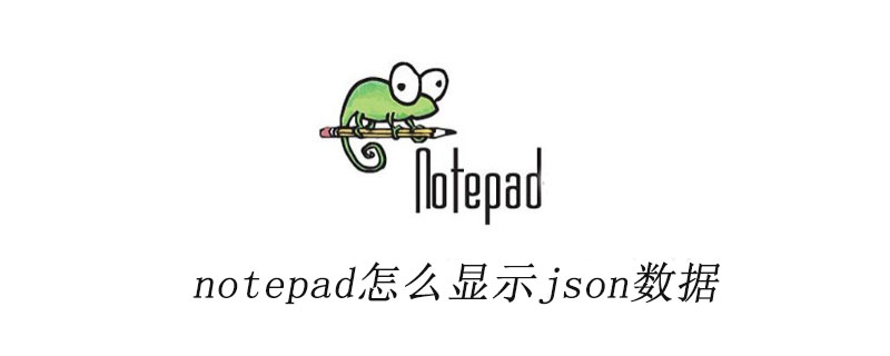 notepad怎么显示json数据