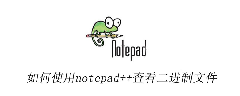如何使用notepad++查看二进制文件