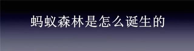 我是「蚂蚁森林」产品经理，听说有2.3亿人想认识我？