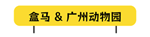 动物园火了，品牌坐不住了