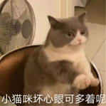 14.png