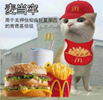 12.png