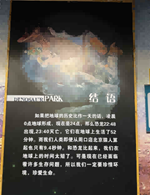 11.png
