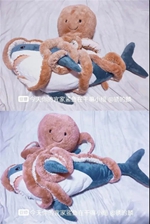 31.jpg