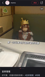 32.png
