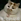 18.png