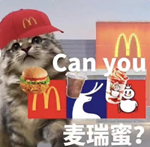 9.png