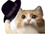 31.png