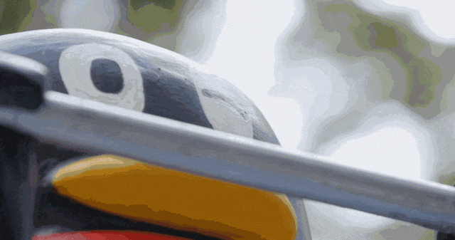 4.gif