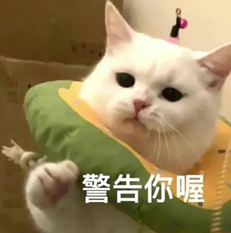 23.png
