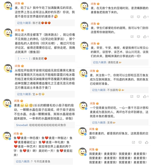 31.png