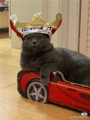 16.png