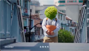 15.png