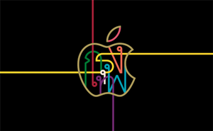 16.png