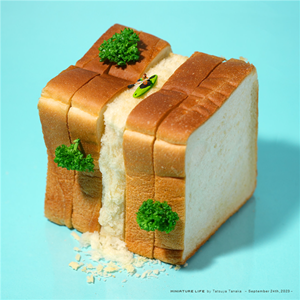 15.png