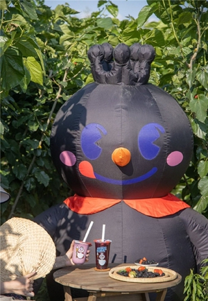 15.jpg