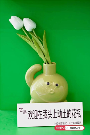 25.png