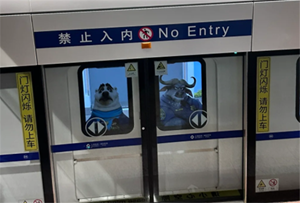 30.png