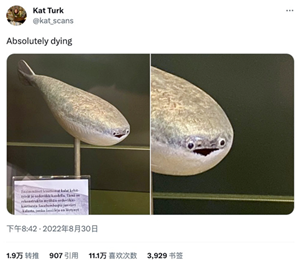 13.png