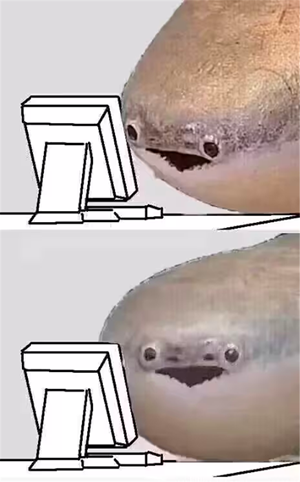14.png