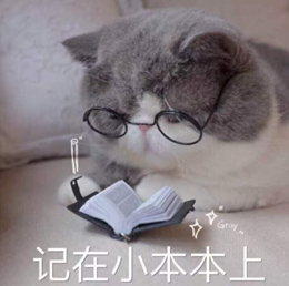 19.png