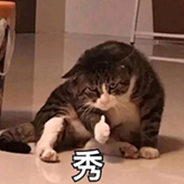 15.png