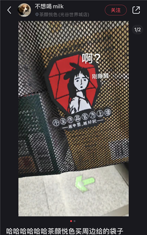 8.png