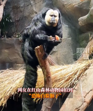 22.png