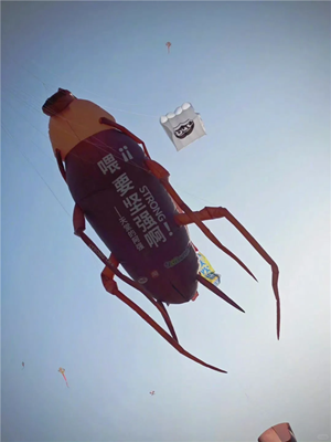 1.png