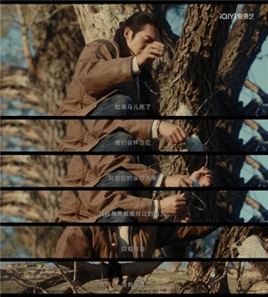 29.jpg