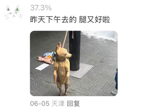 5.png