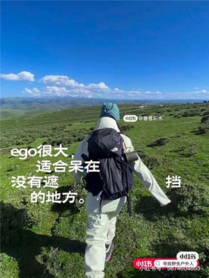 1721630896297954.jpg 8.jpg