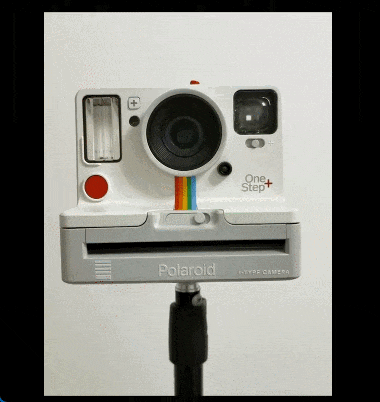 5.gif