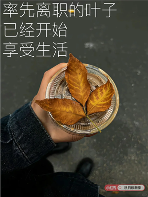 19秋天.png