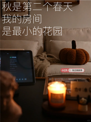 23秋天.png