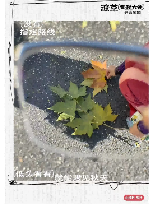 26秋天.png
