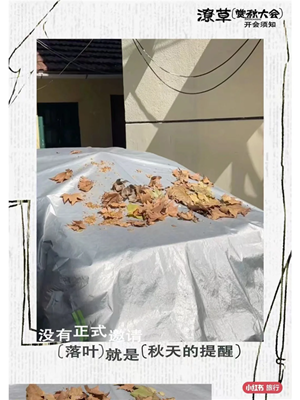 28秋天.png