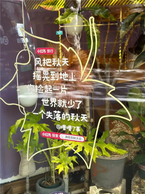 33秋天.png
