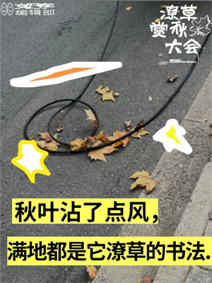 37秋天.png