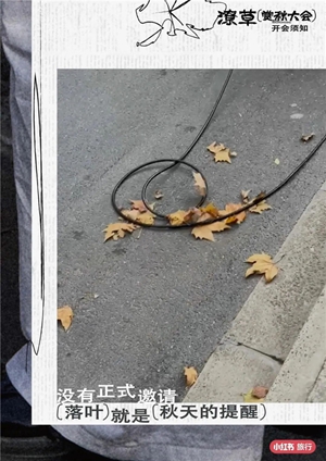 9小红书.jpg