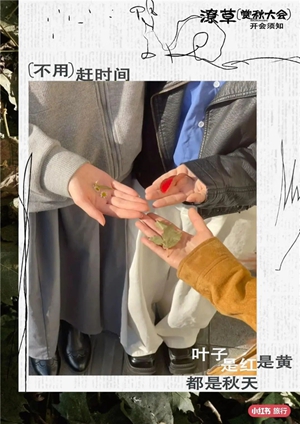 10小红书.jpg