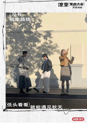 11小红书.jpg