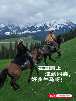 19小红书.png