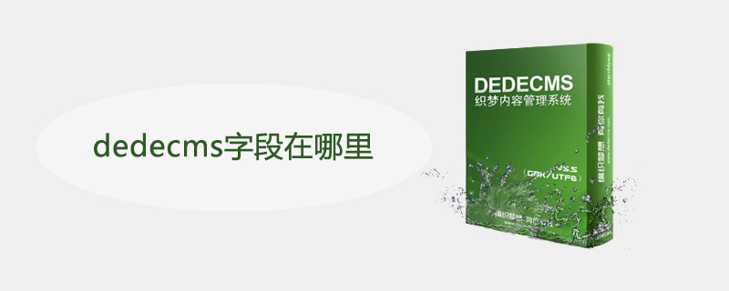 dedecms字段在哪里