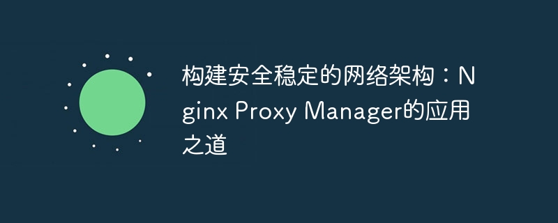 构建安全稳定的网络架构：nginx proxy manager的应用之道